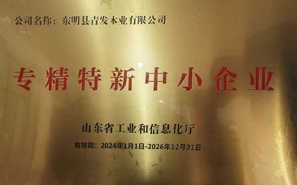 專精特新中小企業